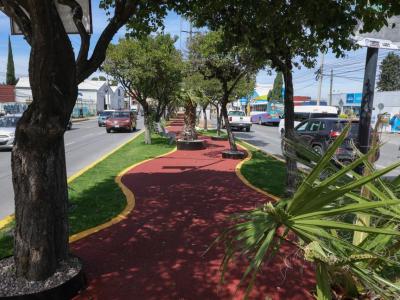 Paseo de Campeonas y Campeones honra el legado deportivo y transforma espacios p&uacute;blicos&nbsp;