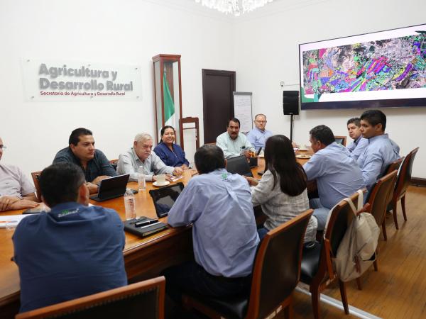 Gobierno estatal consolida acciones sanitarias para incrementar productividad de la ca&ntilde;a de az&uacute;car