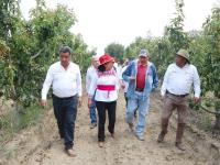 SADR recorre parcelas frutícolas en la zona del Izta-Popo