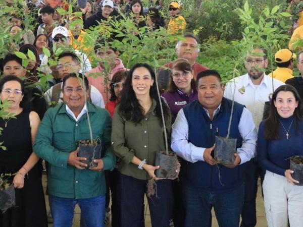 Cumple gobierno estatal meta de plantar un millón 790 mil árboles