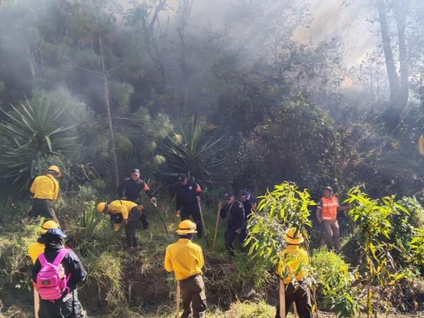 Gobierno de Puebla combate incendio en Chilchotla