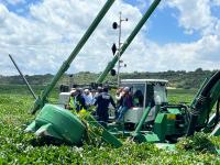 Puebla aplicar&aacute; tecnolog&iacute;a y maquinaria probada para retiro de lirio acu&aacute;tico en Valsequillo