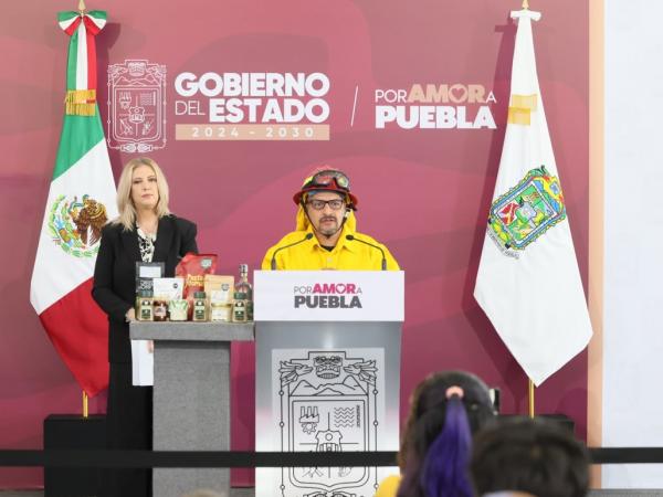 Gobierno estatal reduce 55 por ciento la superficie afectada por incendios forestales.