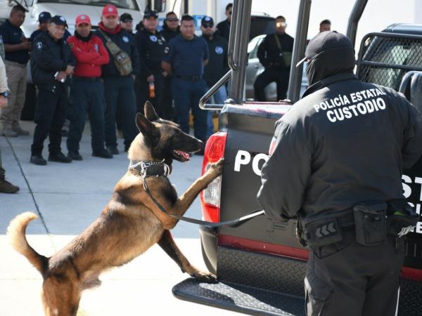 Puebla es sede del Tercer Encuentro de Unidades Caninas