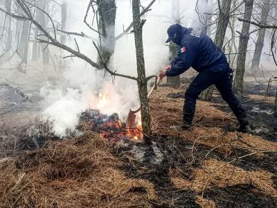 Polic&iacute;a Forestal y Bomberos sofocan tres incendios en Puebla capital