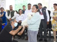 Inicia en Coronango la Semana Nacional de Vacunación Antirrábica Canina y Felina
