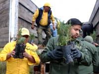“En Puebla protegemos el medio ambiente”: Alejandro Armenta
