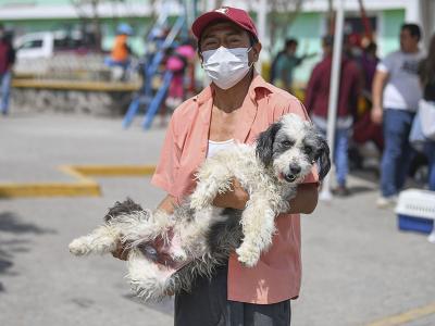 Intensive State Day against Canine and Feline Rabies in Puebla, Mexico – Free Vaccinations for Dogs and Cats