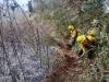 Incendios forestales en Tepatlaxco de Hidalgo y Huauchinango