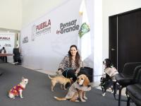 Gobierno del Estado refuerza coordinaci&oacute;n con municipios para proteger a seres sintientes