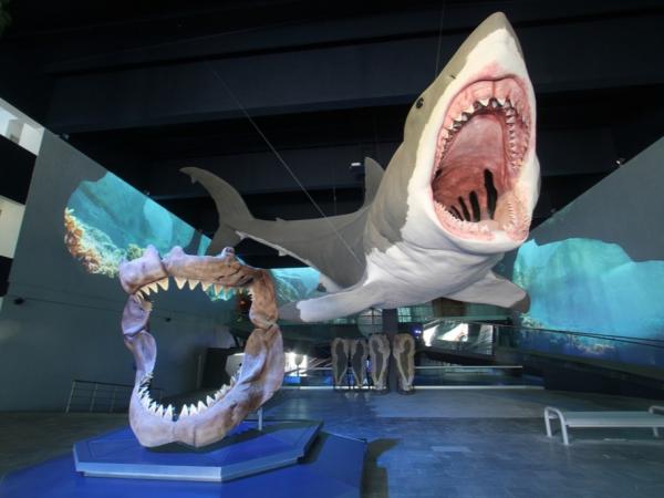 Museo de la Evolución resguarda colección científica más importantes del estado