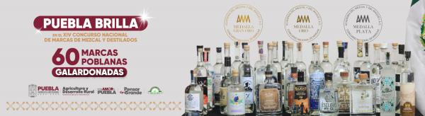 mezcal