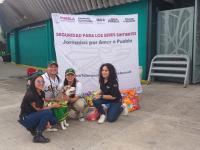 Instituto de Bienestar Animal participó en jornada &quot;Safe por la Salud&quot; de Pericos