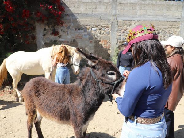 Impulsa IBA convivencia responsable y apoyo animal con “EquiConexión con Causa”