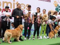 Por amor y seguridad: Puebla corre con sus lomitos contra el maltrato animal