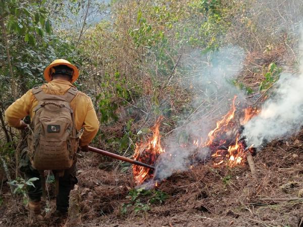 Puebla reduce al 50% daños por incendios forestales