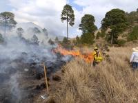 Eficacia de instituciones estatales y federales en combate a incendios forestales
