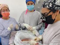 Puebla invita a la solidaridad en Día Mundial de los Pacientes Trasplantados