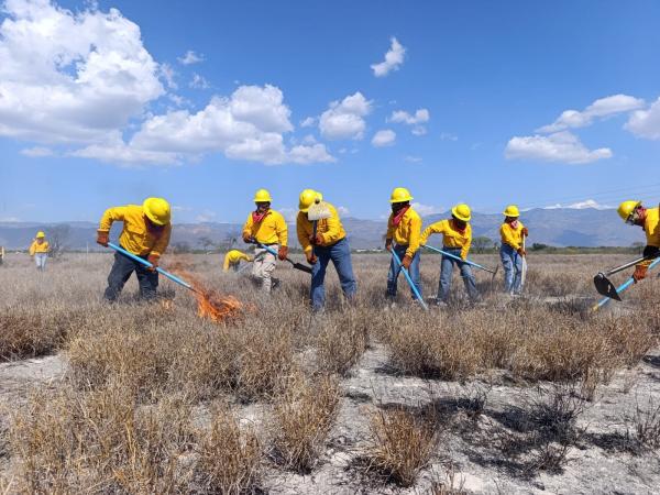 Brigadistas de Protección Civil amplían habilidades contra incendios forestales