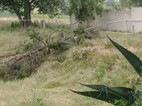 Gobierno de Puebla atiende afectaciones en Centro Escolar