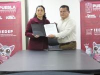 Regular formaci&oacute;n pr&aacute;ctica mediante coordinaci&oacute;n educativa institucional