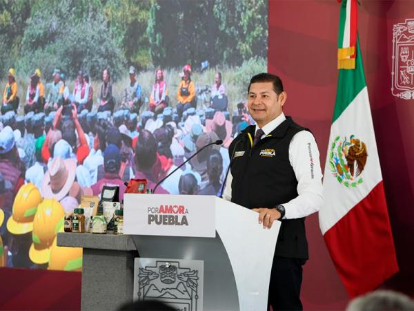 Gobierno estatal refuerza protección de bosques y garantiza vivienda a guardias forestales
