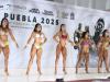 Puebla recibir&aacute; el Mr. M&eacute;xico Juvenil y Veteranos 2026