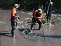 Participa CEASPUE en limpieza del R&iacute;o Atoyac en Cuautlancingo