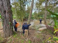 Gobierno de Puebla mantiene tareas de b&uacute;squeda en la Sierra Norte