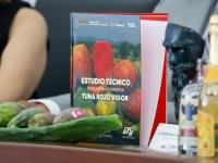 UTH entreg&oacute; a IMPI estudio para Indicaci&oacute;n Geogr&aacute;fica de tuna de Acatzingo