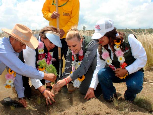 Estado de Puebla, referente nacional en reforestación y rescate de ecosistemas