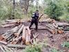 Polic&iacute;a Forestal destruye 11 hornos clandestinos para deshidratar madera