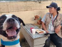 Gobierno estatal refuerza atención veterinaria y resguardo de seres sintientes en la Sierra Norte