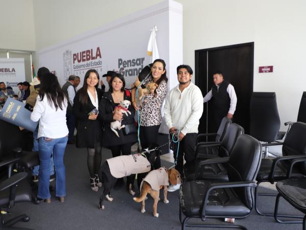 IBA lanza campañas “Patitas contra el Frío” y “Croquetízate con Corazón”