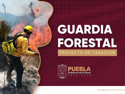 Prevención y combate de incendios, tareas de la Guardia Forestal del Estado