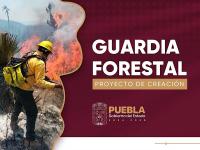 Prevenci&oacute;n y combate de incendios, tareas de la Guardia Forestal del Estado