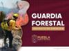 Prevención y combate de incendios, tareas de la Guardia Forestal del Estado