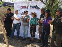 Gobierno de Puebla, fundaciones y poblaci&oacute;n reforestan Parque Bicentenario