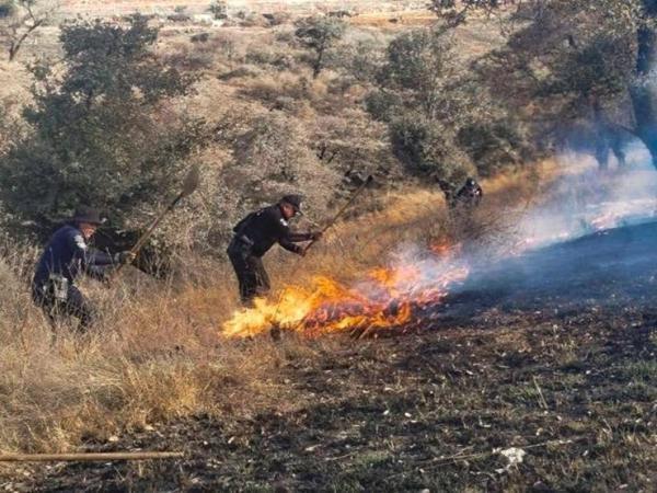 SSP Estatal coordina extinción de cuatro incendios en Tepatlaxco, Puebla y Tlachichuca