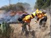 Labores preventivas, permiten resultados exitosos de la Polic&iacute;a Forestal