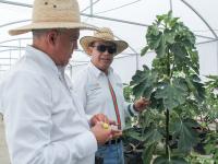 UTTecam fortalece la innovación agrícola a través de su Campo Experimental