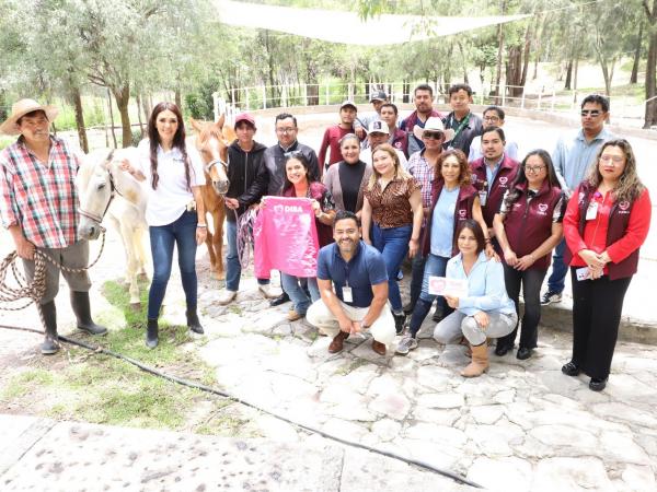 SEDIF y Fiscalía rescatan dos equinos víctimas de crueldad animal