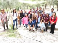 SEDIF y Fiscal&iacute;a rescatan dos equinos v&iacute;ctimas de crueldad animal