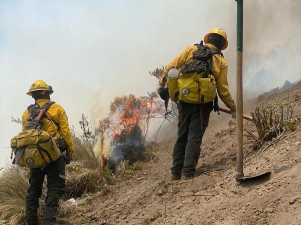 Se mantiene coordinación entre gobierno federal y estatal en liquidación de incendios