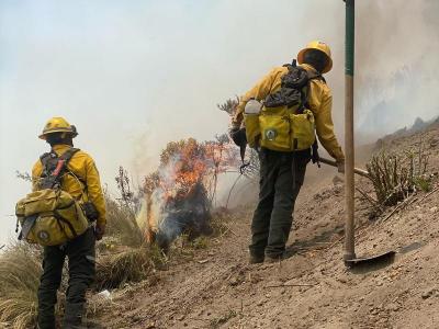 Se mantiene coordinación entre gobierno federal y estatal en liquidación de incendios