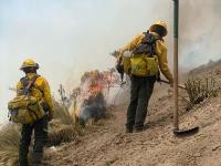 Se mantiene coordinación entre gobierno federal y estatal en liquidación de incendios