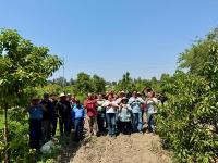 Gobierno del Estado fortalece la producci&oacute;n de aguacate poblano