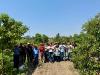 Gobierno del Estado fortalece la producci&oacute;n de aguacate poblano