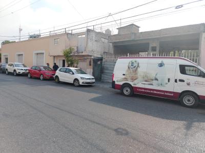 Rescate y atención de gatito encerrado en inmueble de Tehuacán