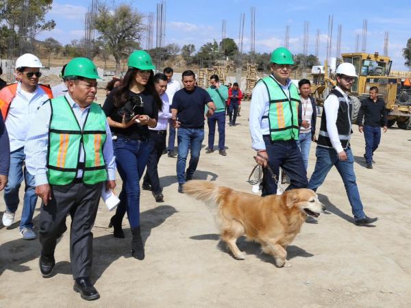 Seres sintientes requieren cuidado, no compras impulsivas: Gobierno de Puebla